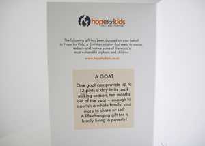 With a little message, with details of their donation. KidsAlive gift card message