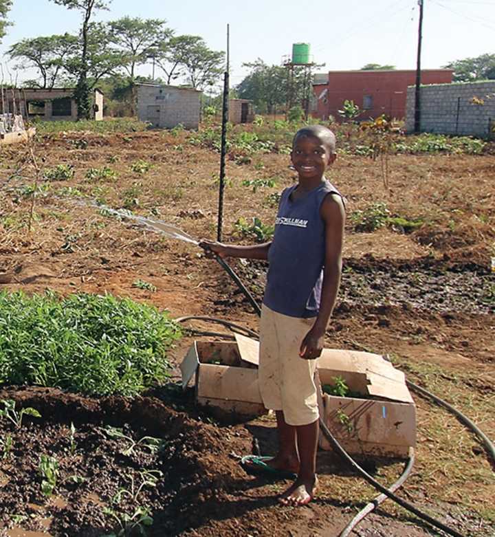 Seeds and tools for 1 family 